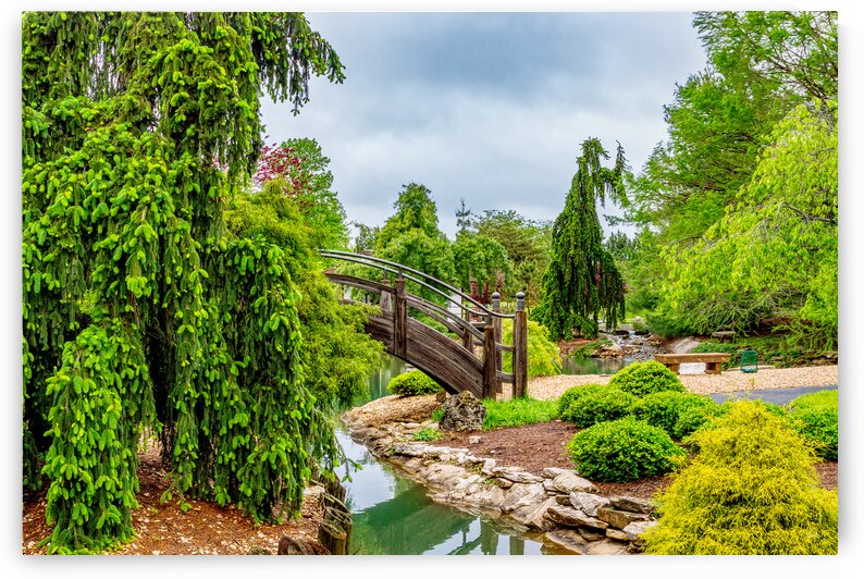 Spring At A Japanese Garden by Jennifer White