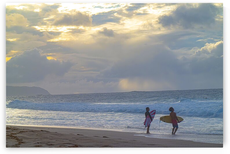 BZ9 6152 by Susan Lynn Cooke