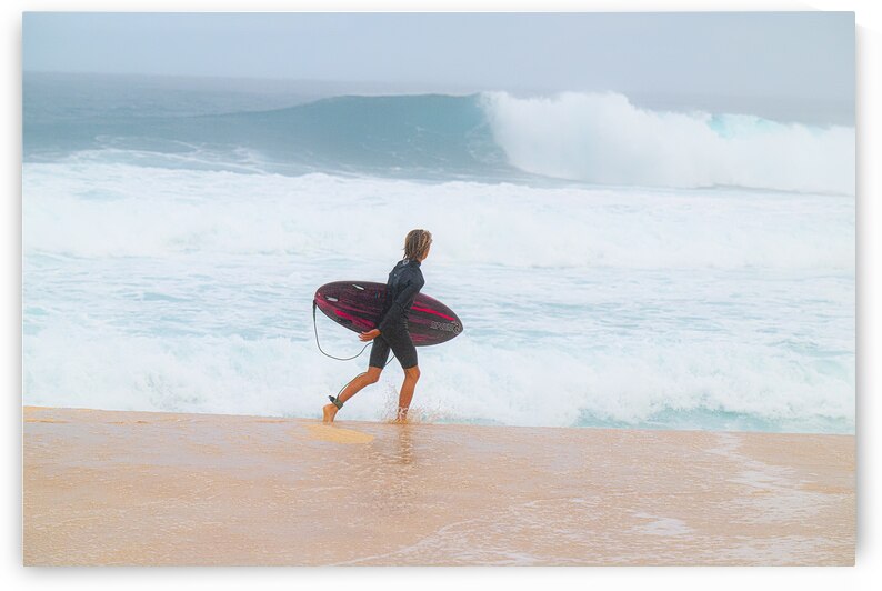 BZ9 6409 by Susan Lynn Cooke