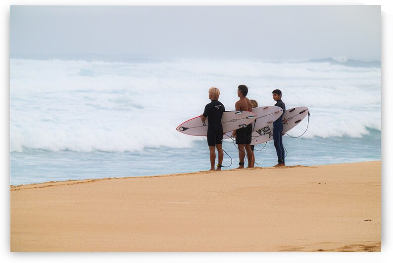 BZ9 6386 by Susan Lynn Cooke