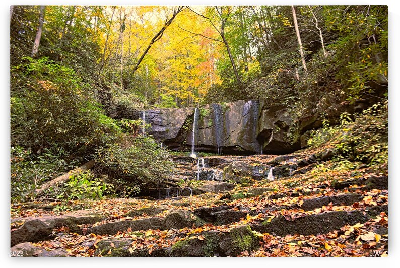 Virginia Hawkins Falls Pickens County In Autumn 2 by Lisa Wooten Photography