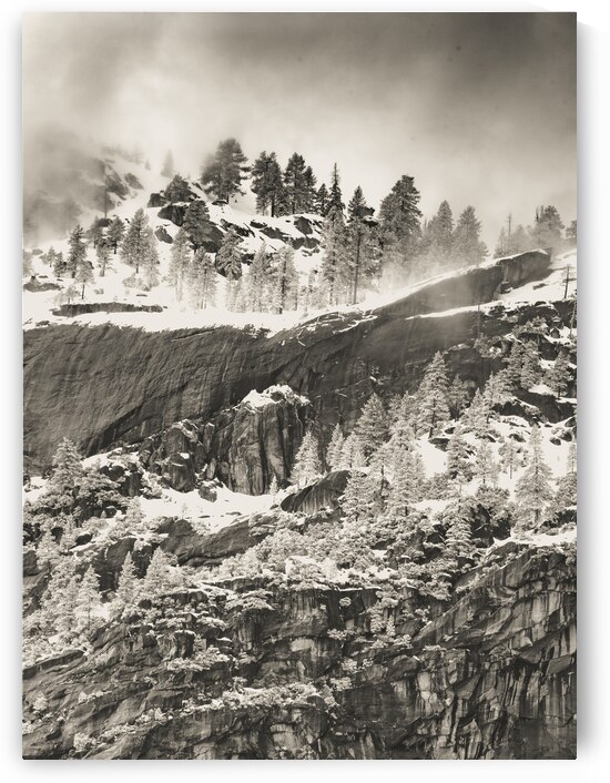 Yosemite Snow Hillside in Sepia by Norma Brandsberg Photography