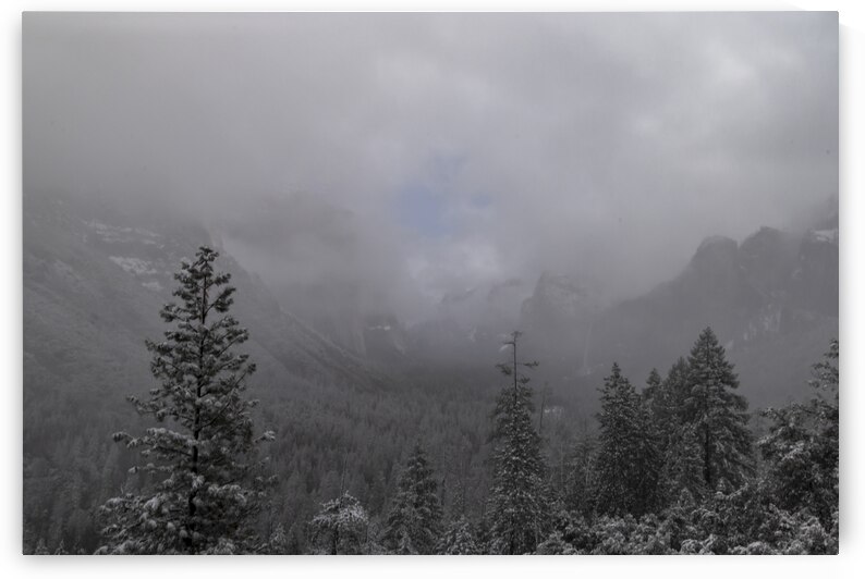 Foggy Yosemite in Winter by Norma Brandsberg Photography
