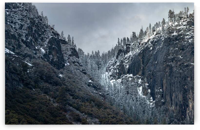 Yosemite Ridge Line in Snow by Norma Brandsberg Photography