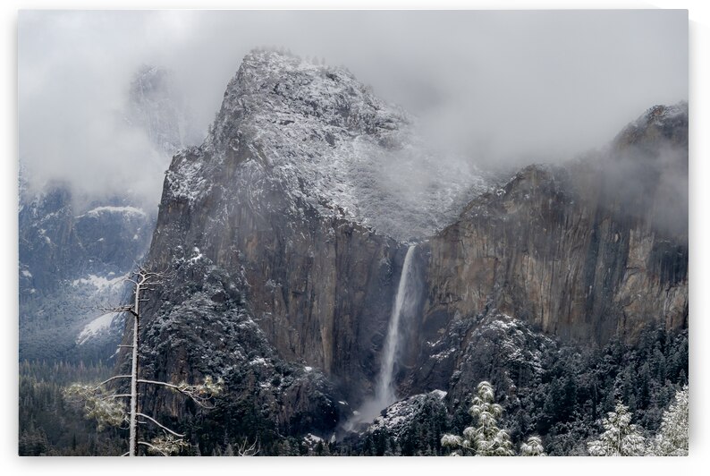 Tunnel View Yosemite in Fog  by Norma Brandsberg Photography