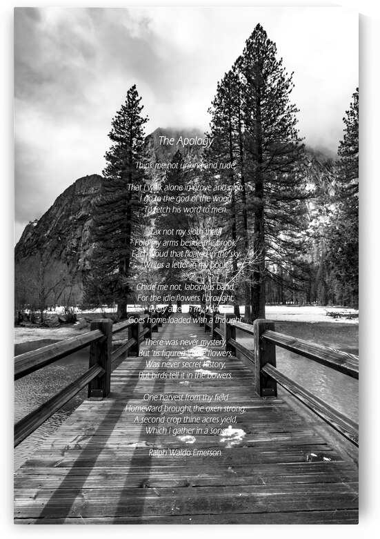 The Apology by Emerson by Norma Brandsberg Photography