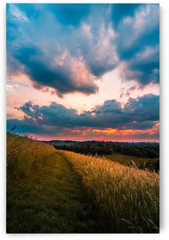 Clear Path at Dusk by Jason Fink