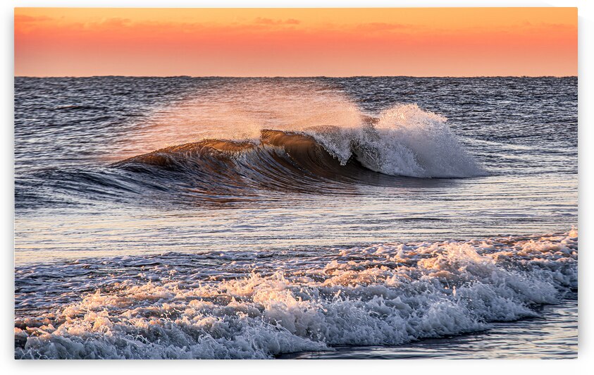 Assateague Wave by Geoffrey Prior