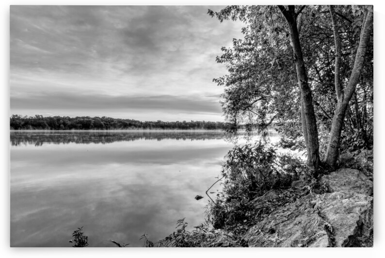 Morning Peace On The Lake Grayscale by Jennifer White