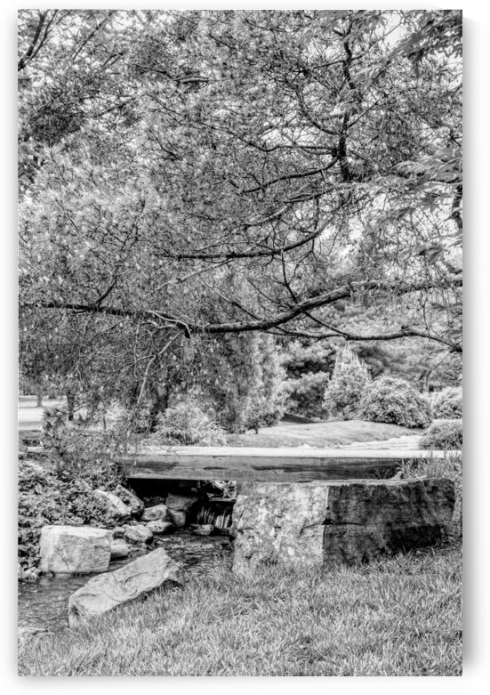 Spring Season Zen Garden Grayscale by Jennifer White