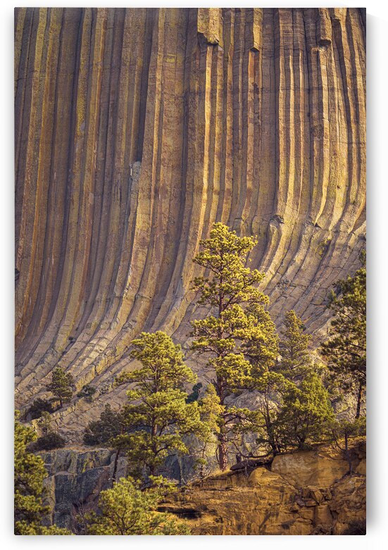 After Dusk at Delicate Arch by Geoffrey Prior
