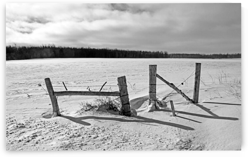 Wood Fence Posts In Winter Black And White by Deb Oppermann