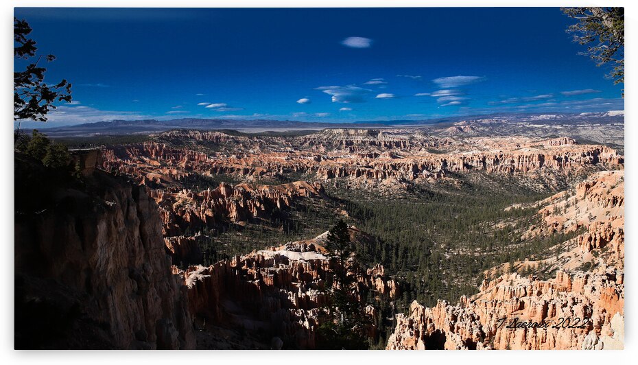 Bryce Canyon National Park  Utah by Tony Lacroix