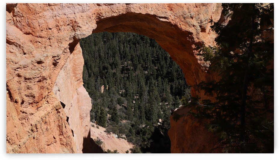 Bryce Canyon National Park Utah by Tony Lacroix