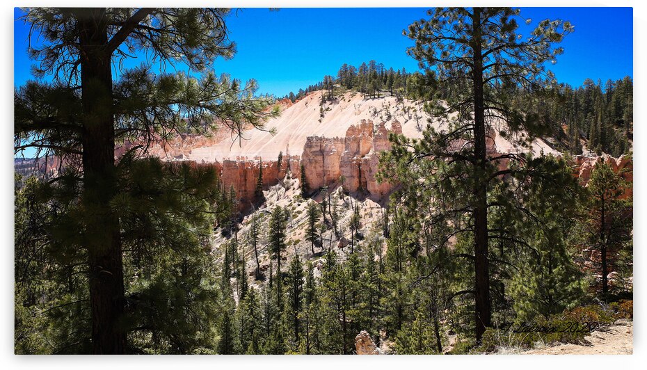 Bryce Canyon National Park Utah by Tony Lacroix