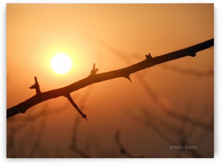 Nature at its best ! by Prachi Pushkar Buche Marathe