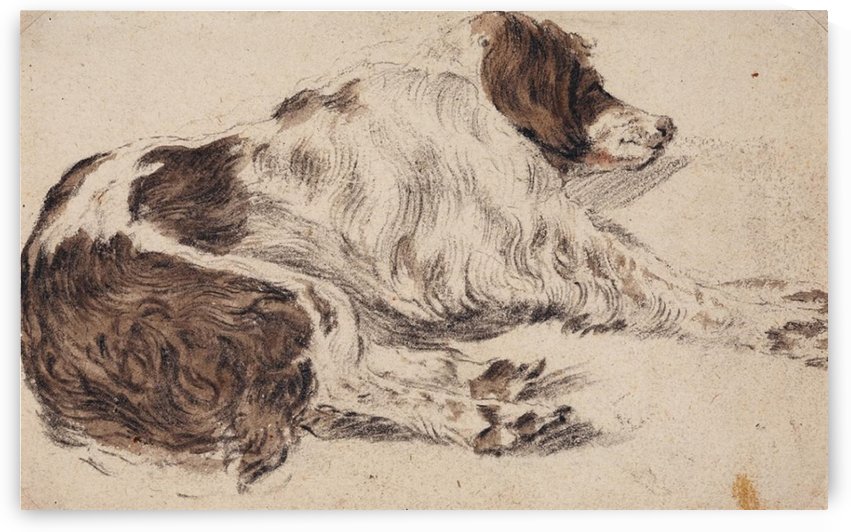 Sleeping dog by Cornelis Saftleven