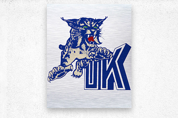 Kentucky Wildcats Metal Arrow Sign - 6x20 Inch Collegiate Licensed Decor