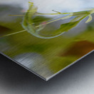 Tige printanière Metal print