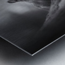 In the woods Metal print