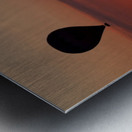 balloons Metal print