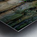 Barking Tree Metal print