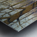 A breath of spring Metal print