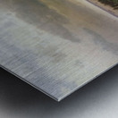 Forest, Dali Metal print