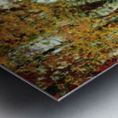 Lady in black dress standing near small lake Metal print