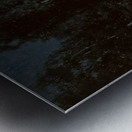 Skit on a moonlit night Metal print