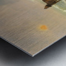 The Gallic coast guard Metal print