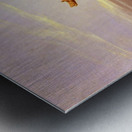 Demosthene practices Metal print