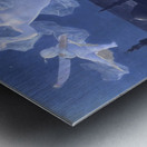 The dream of a Eunuch Metal print