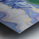 Castle Mountain Beauty Metal print