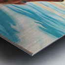 Unclaimed Freedom Metal print