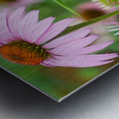 Springtime Once More Metal print