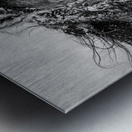 Ice Princess Metal print