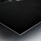 Amish Workhorse Metal print