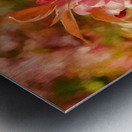 Sparrow In The Apple Tree Metal print