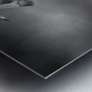 Sandhill Crane Trio In Flight Metal print