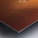 Bumblebee On Pink Coneflower Metal print