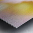 Dreamy Pink Coneflower  Metal print