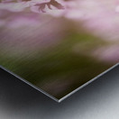 American Painted Lady Butterfly Among Wildflowers Metal print