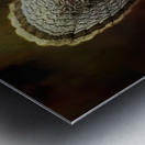 Ruffed Up Metal print