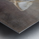 Wild Metal print