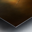 Textured Strix Varia Metal print