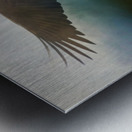 Raptor Metal print