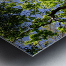 Puissance Metal print