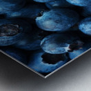 Blueberries Background Close-up Metal print