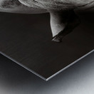 Rhinoceros portrait Metal print